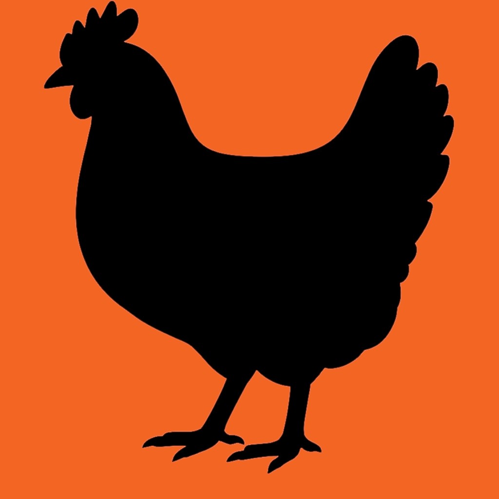 Premium Chicken