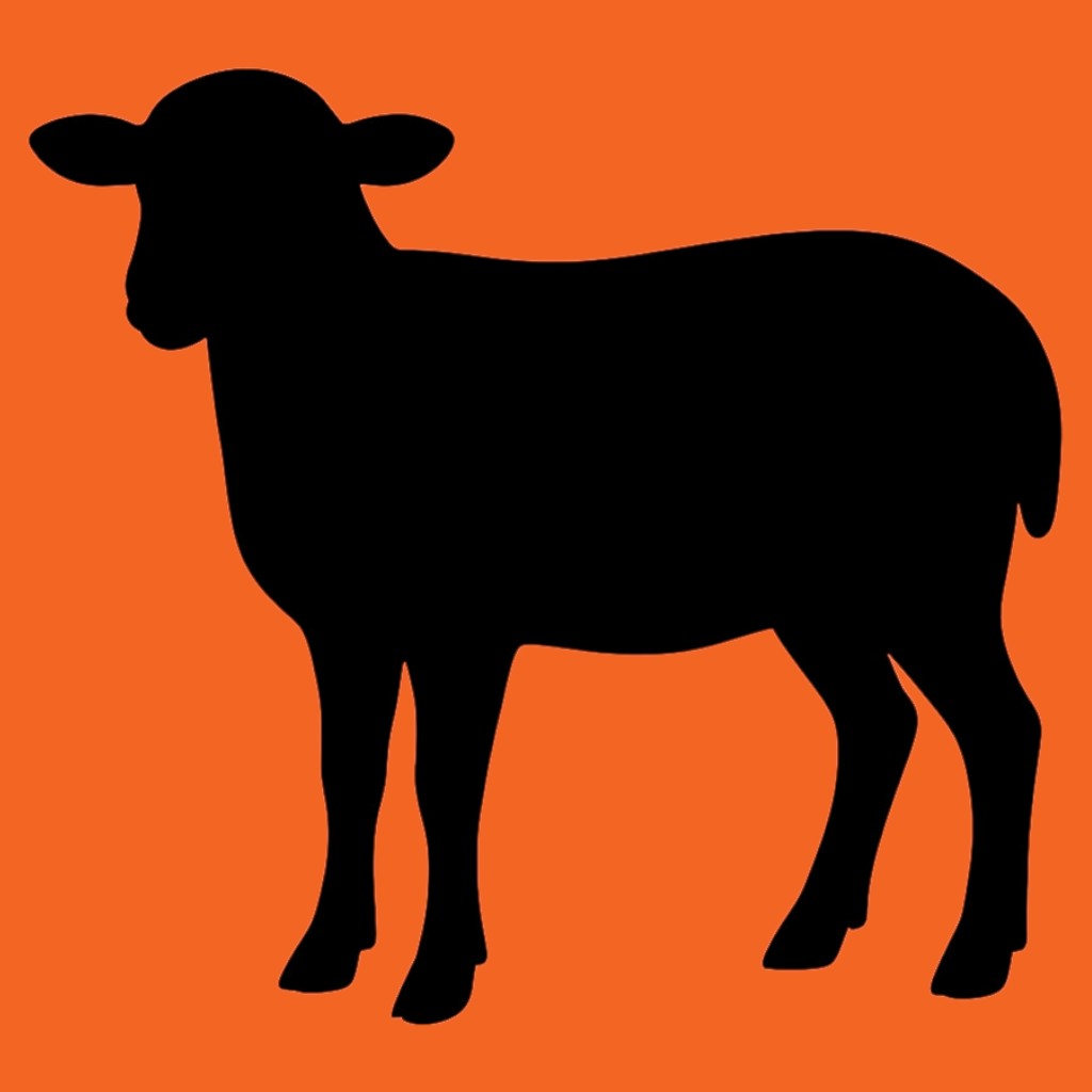 Premium Lamb