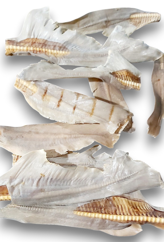 Shark Tail Fin 100% Natural Australian Pet Treats